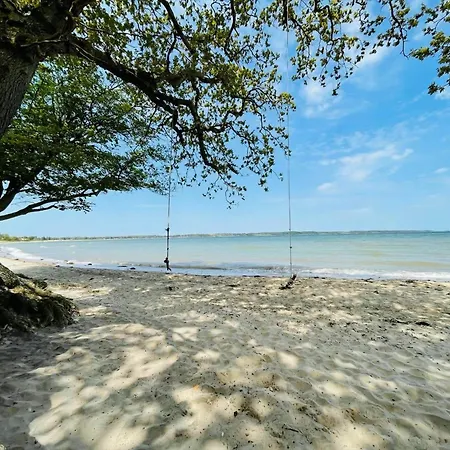 40541-juelsminde-pot-strandby-417 * Sonderby (Midtjylland)